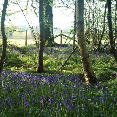 라이 Bluebells 아파트 외부 사진