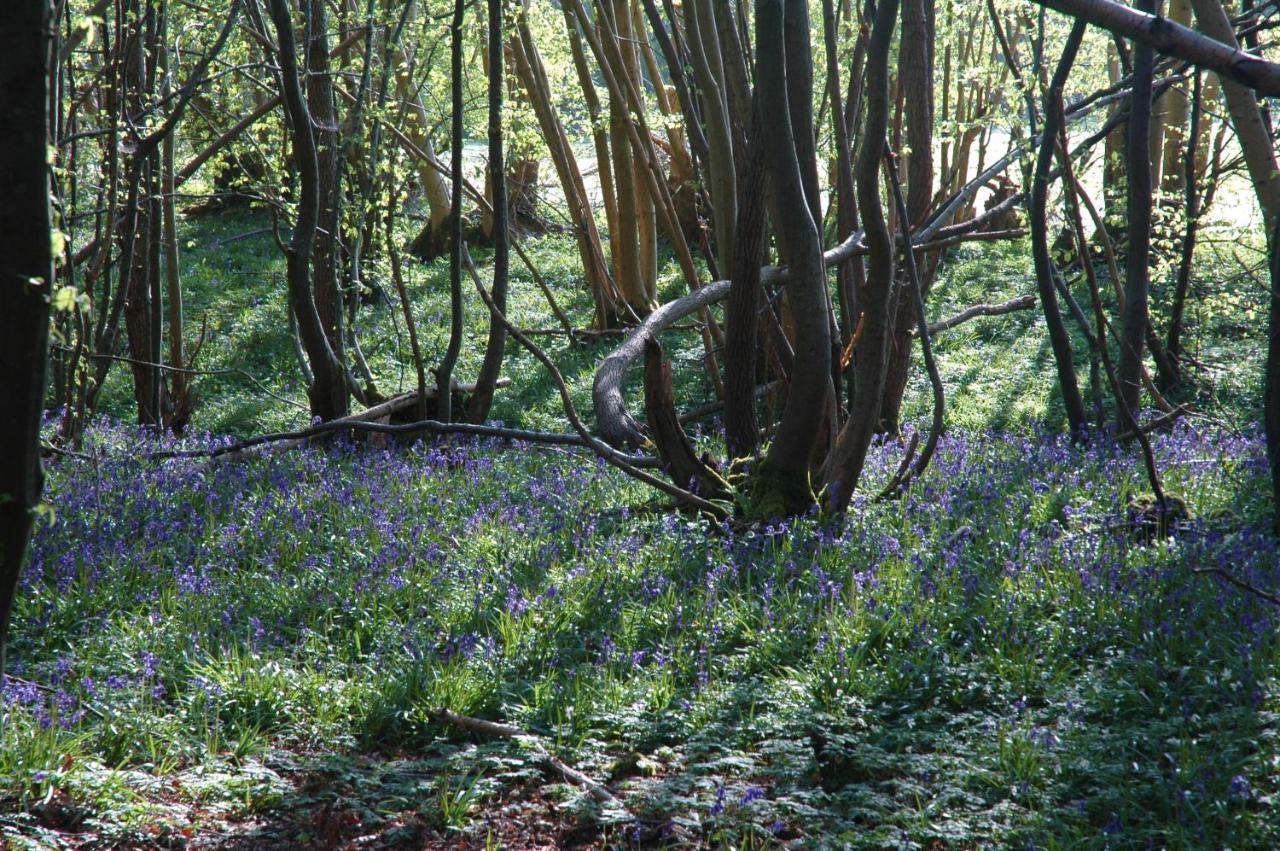 라이 Bluebells 아파트 외부 사진