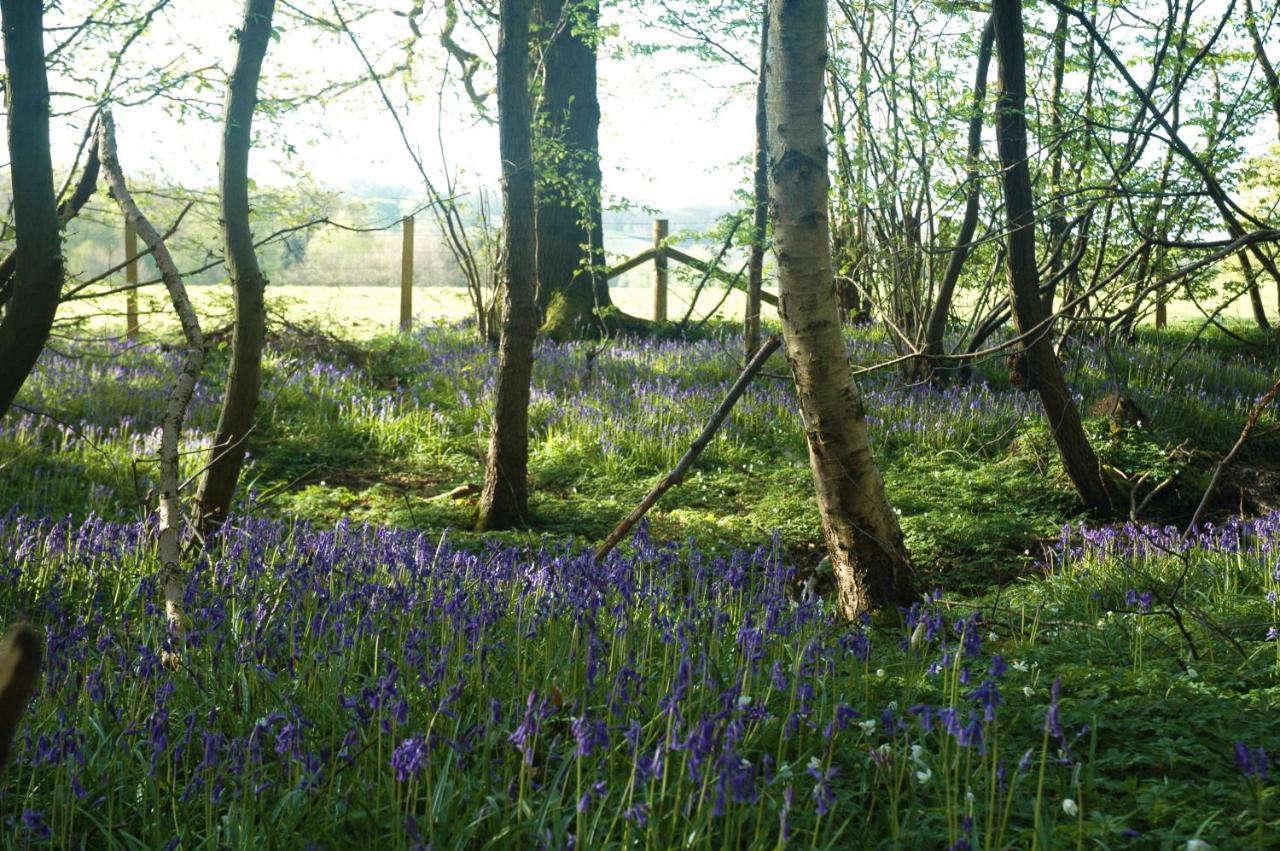 라이 Bluebells 아파트 외부 사진